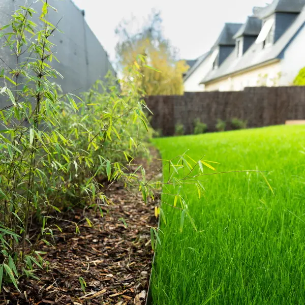 Aménagement complet de limite de propriété : clôture occultante, plantations et gazon à Rennes